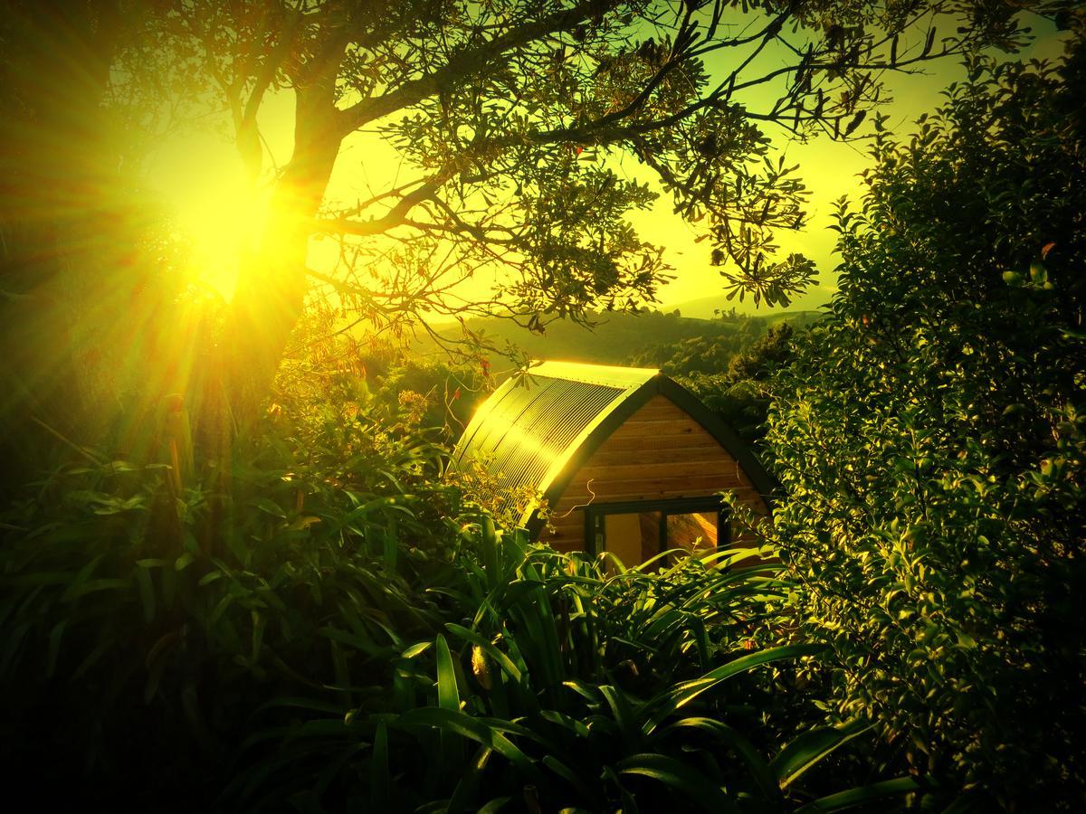 The Dome Waikino Villa Eksteriør billede